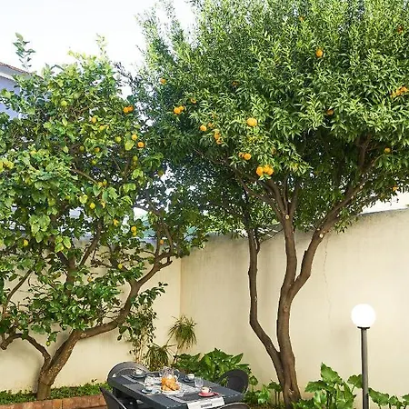 ✦ Garden House In Centro - Free Parking ✦ Apartment